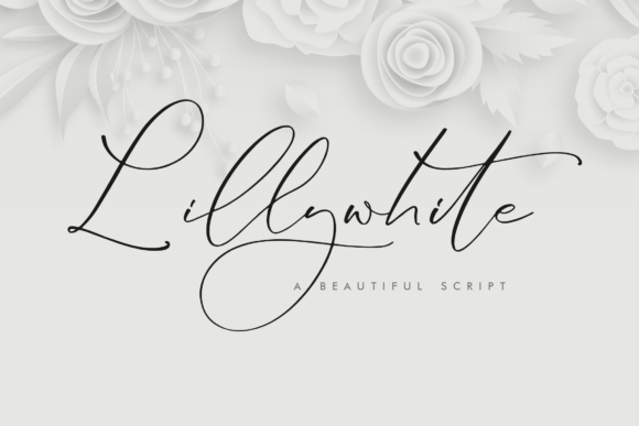 Lillywhite Font: Elegant Script for Web Design
