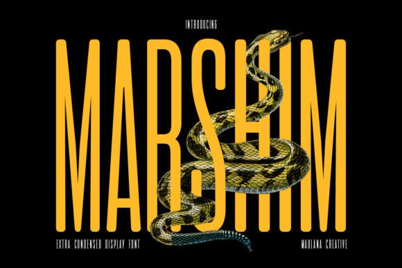 Marshim: A Bold Sans Serif for Digital Campaigns